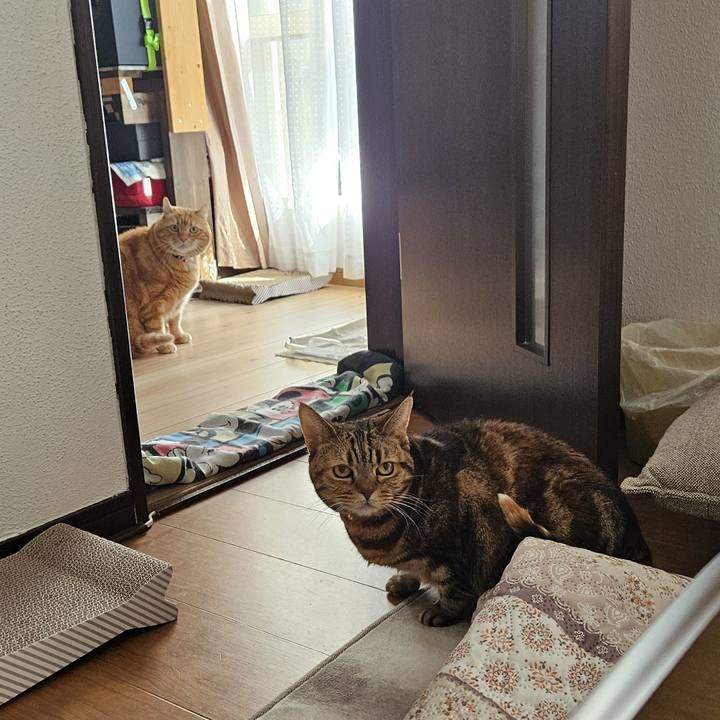 4e6801b8 022b 4e87 a484 af3642788897 1703910885616