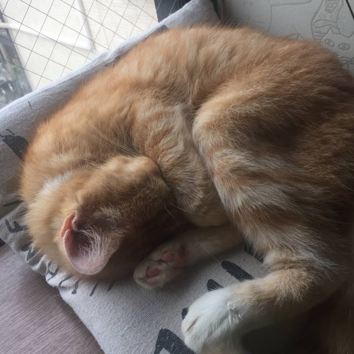 4e6824a4 4aec 4cf7 887b 22e0d227a1d5 1569025074278