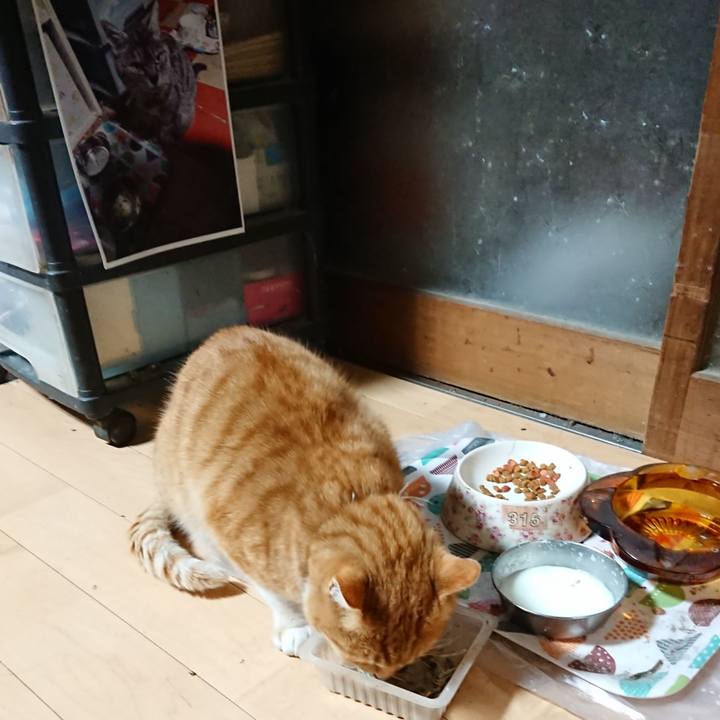 4e68520a a993 4bf9 8055 66f34f6e4b10 1607457002238