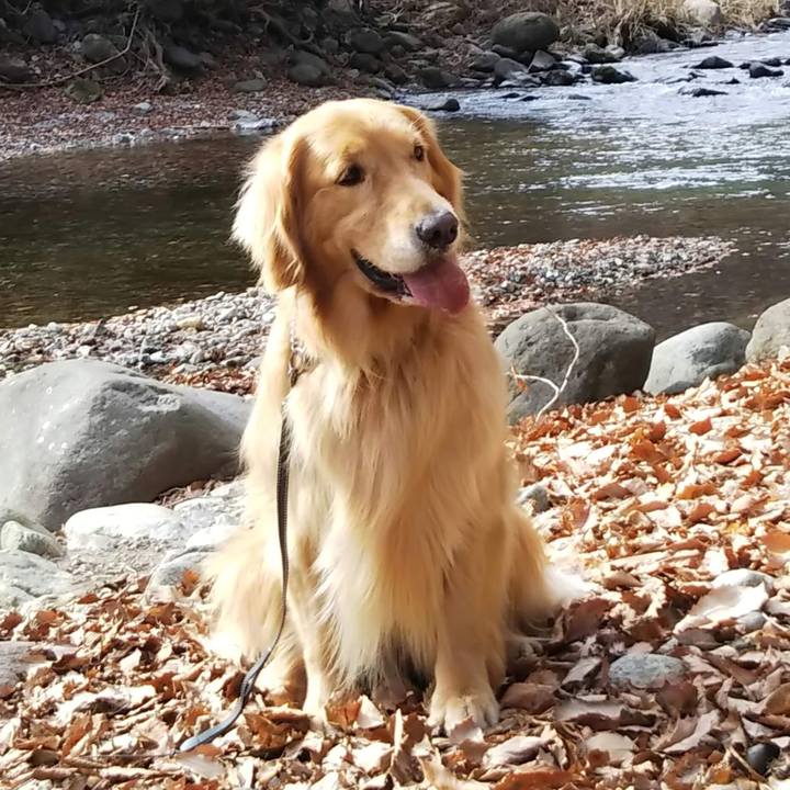 4e689298 3112 448c 9bbe 63c8e2166ec4 1580857777318