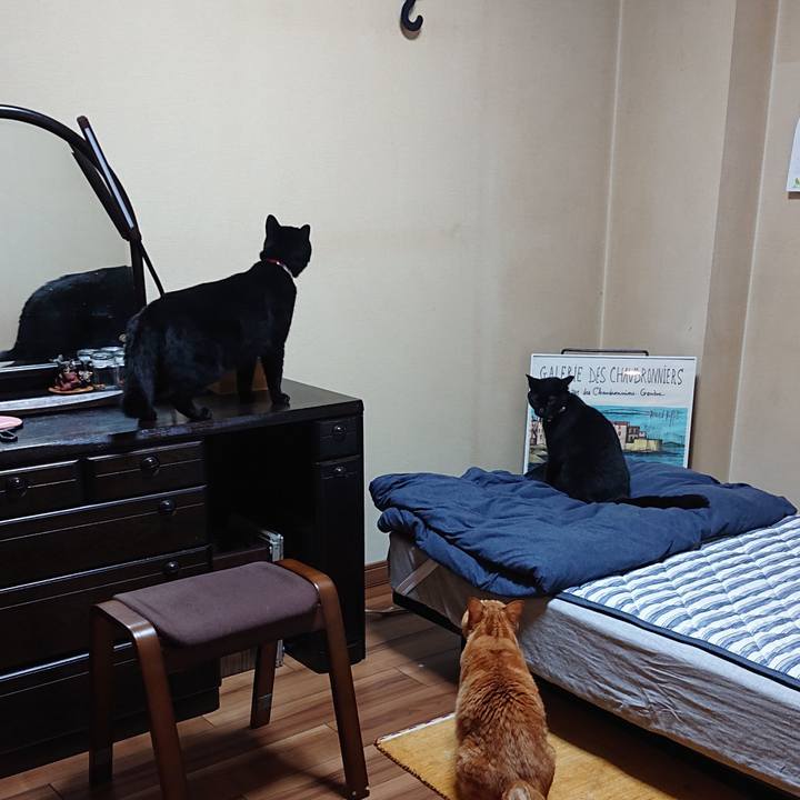 4e68adf9 4ac8 4e30 bad9 cdef670dadb3 1559955512850