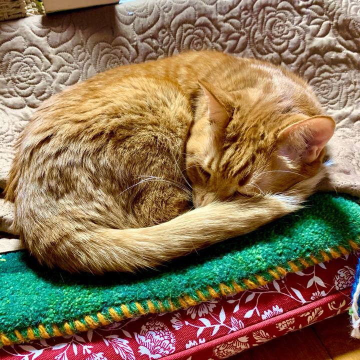 4e68b9b0 2c51 499c ad81 7a3a69619a3a 1606717834194