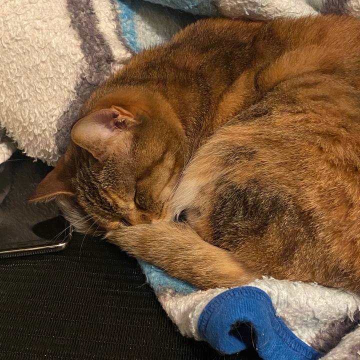 4e68c3dd 5834 4ba6 8ada 10f40fb4dee4 1587383020818