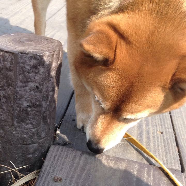 4e69134a 16e0 4ac5 b046 3ac03cce324c 1519705008243