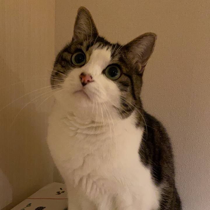 4e69473f 07ba 481c ae43 b3d1d62b28e9 1575345560325