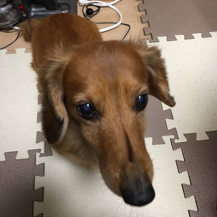 4e694ca2 432e 489c 9f6c 58766972ed64 1580911825312