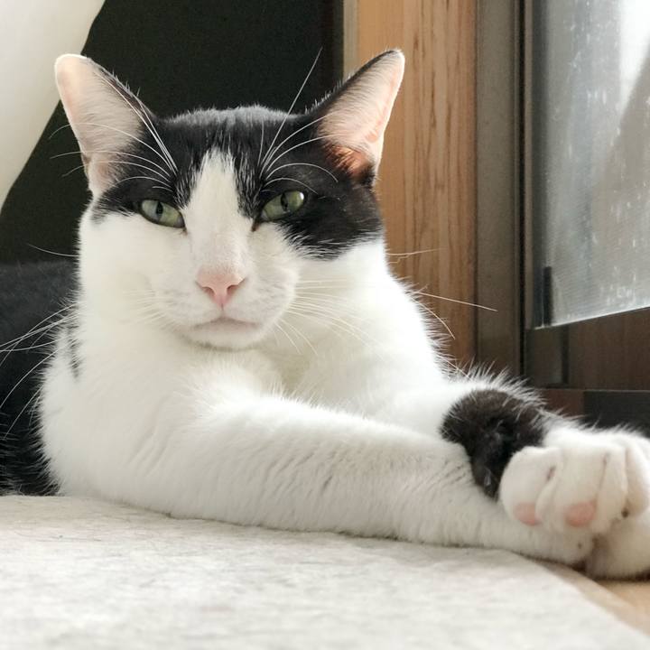 4e694f9c ec36 4b67 bc0b 0ac137a5cf38 1537839500448