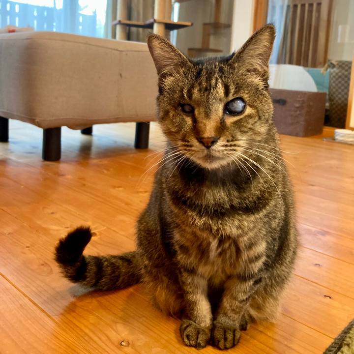 4e695852 064b 47da bf1b dae0173401d2 1672527295347