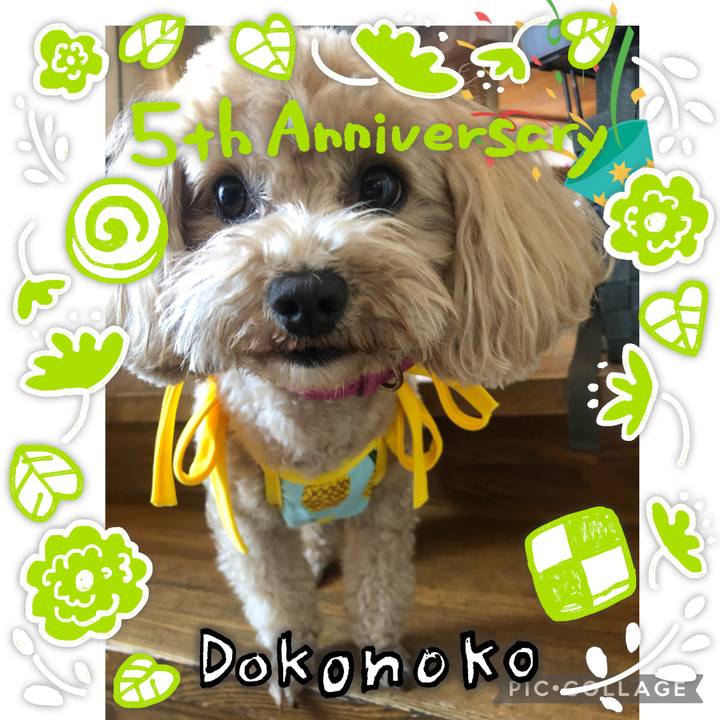 4e699c4e 0c4c 49b1 86a9 817483c26bb5 1622864209082