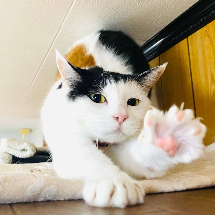 4e69a46e 13f7 4ec8 bed7 7895b822e365 1712186760996