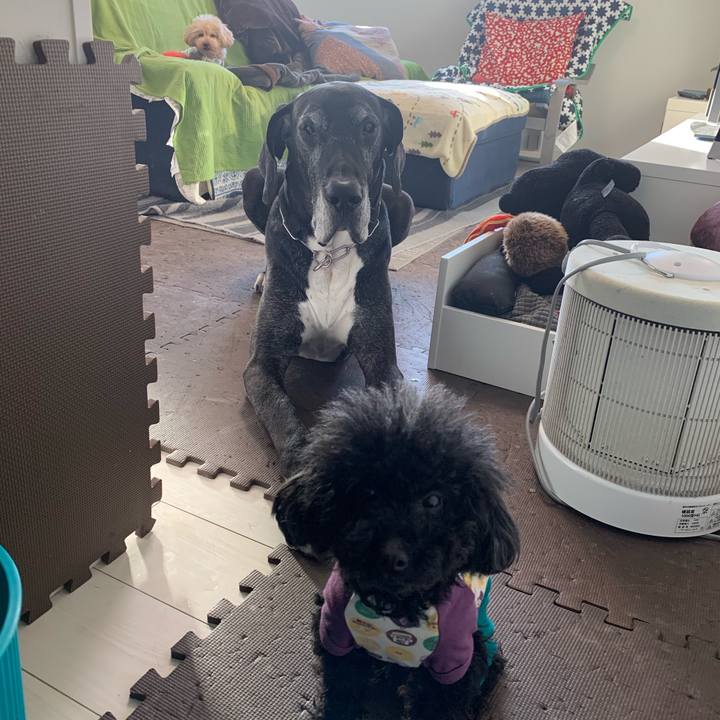 4e69bf8e 6bc7 499e a3a2 53af131c99b6 1552860885183