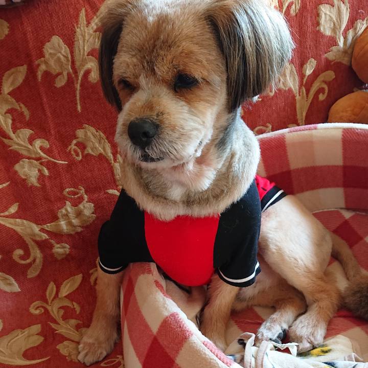 4e69f1c5 e43f 4c48 9b0e c84b38eb41bb 1573001001645