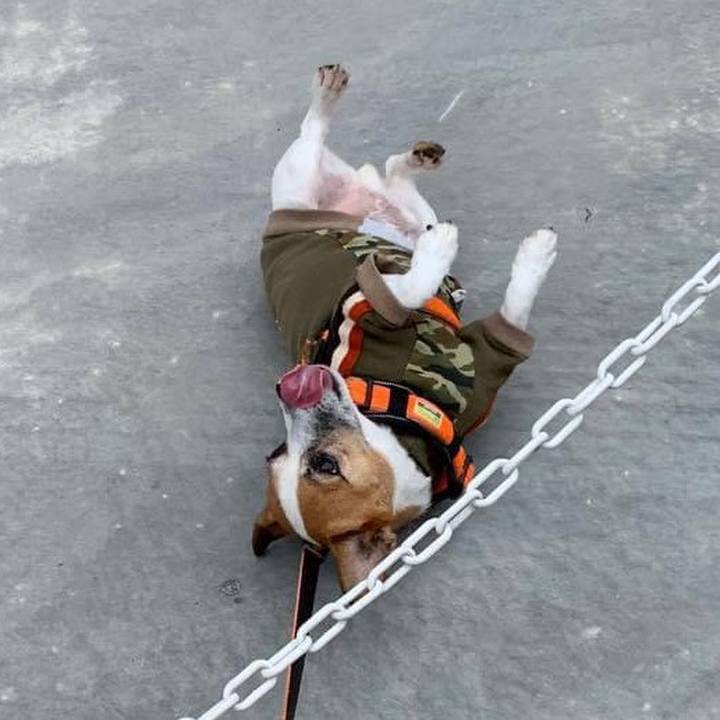 4e69fb8c c923 46d3 857e cf4574f8de99 1665454480561