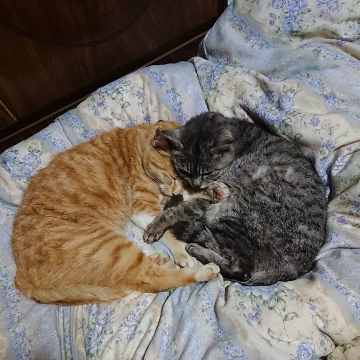 4e6a0557 6324 43a3 94f8 15ce875a1f73 1587903649078