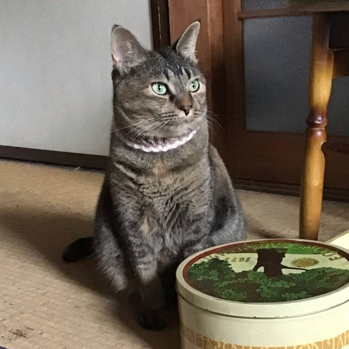 4e6a9745 9c0a 442a 813e 64ecc7816bfe 1696144022570