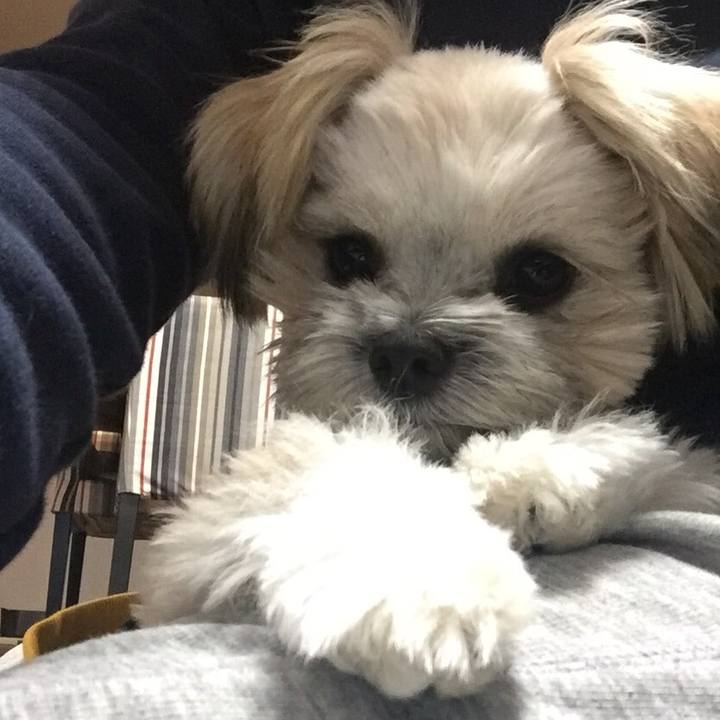 4e6a9fef c722 4efe 829a 588ca485a35d 1523966215402