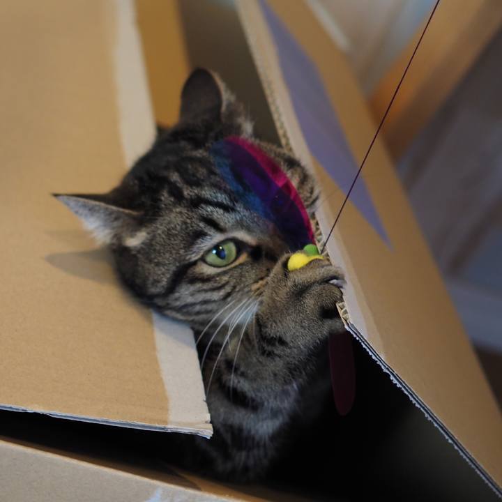 4e6aad77 7ad4 4d66 bf54 8601c09d3da1 1610543460025