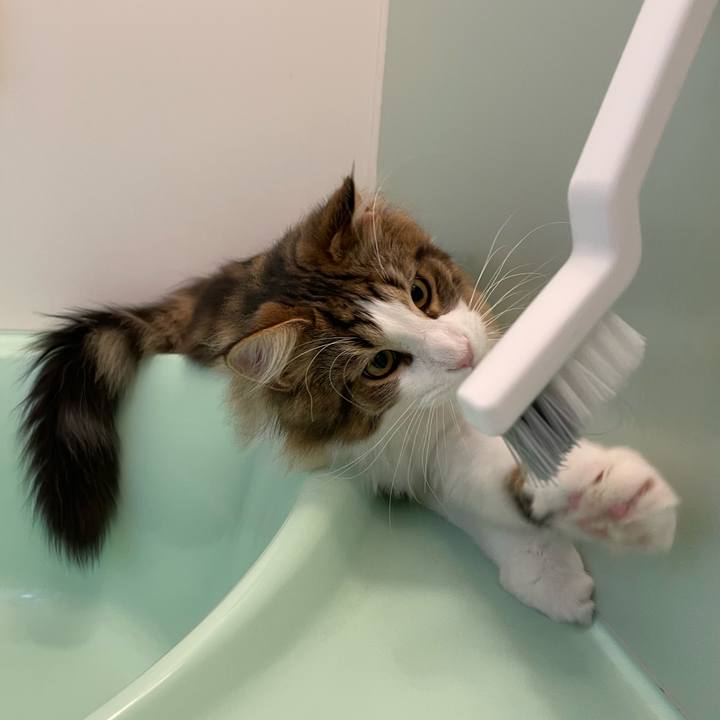 4e6aad9d a95b 4811 b74c 892a9b8a79e2 1640638616406