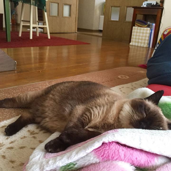 4e6ad42e bcce 4c8b 81ae 277b8816bf94 1550798541609