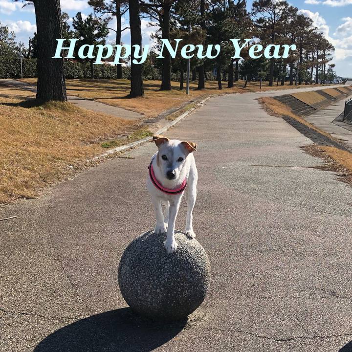 4e6b0526 2a2e 4476 8ae9 ad07d9a3faa2 1546315444594