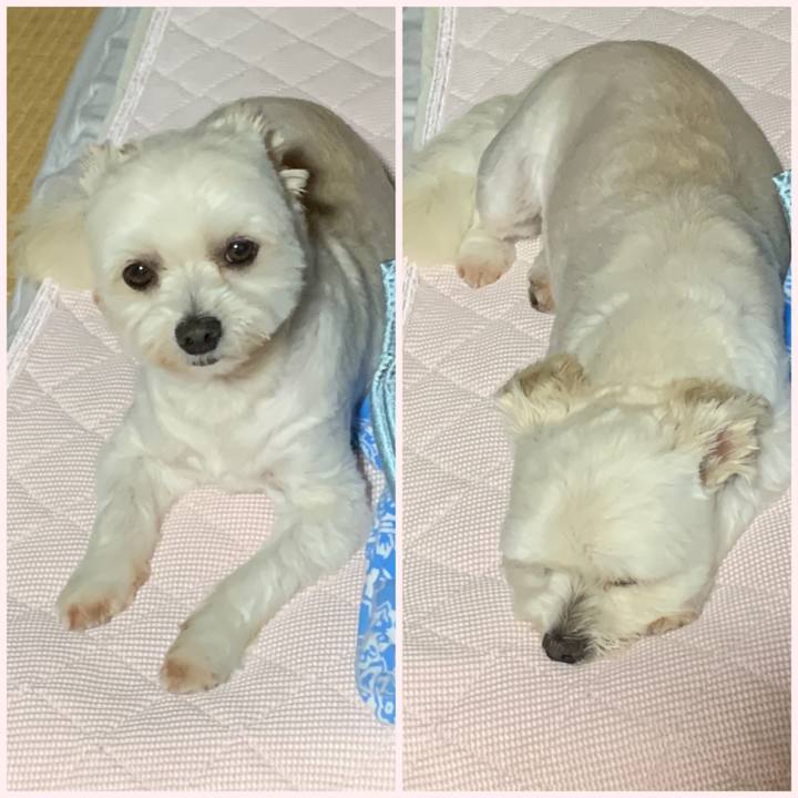 4e6b19d3 b962 4fd6 b4a9 f3ead0161dcf 1626001299739