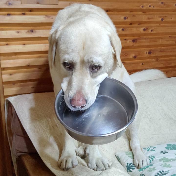 4e6b1d8b 6cf9 44e0 ac26 5db1f0cd34f8 1663150633855