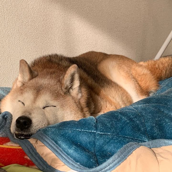 4e6b2e49 27ec 4b56 b3cd f92b858dd5b3 1678949322358