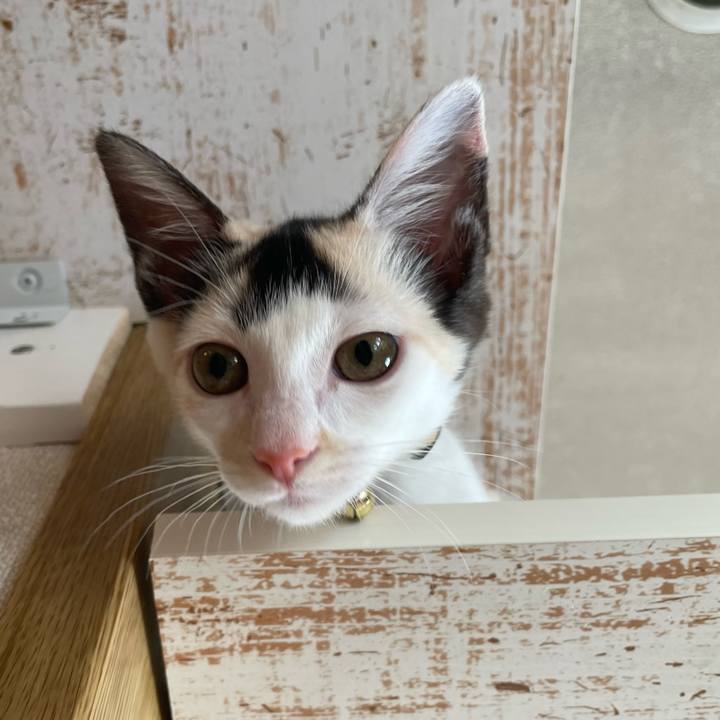 4e6b31a7 a278 40ed aabf 7eb9815dd86a 1659048683579