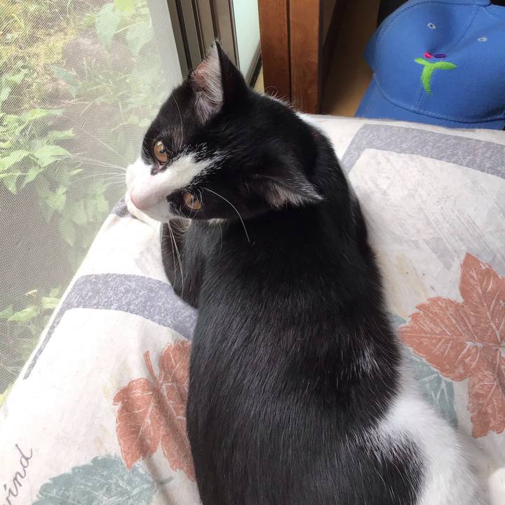 4e6b9e78 67cf 42f0 83dc 3460e1d1e8e9 1628915384006