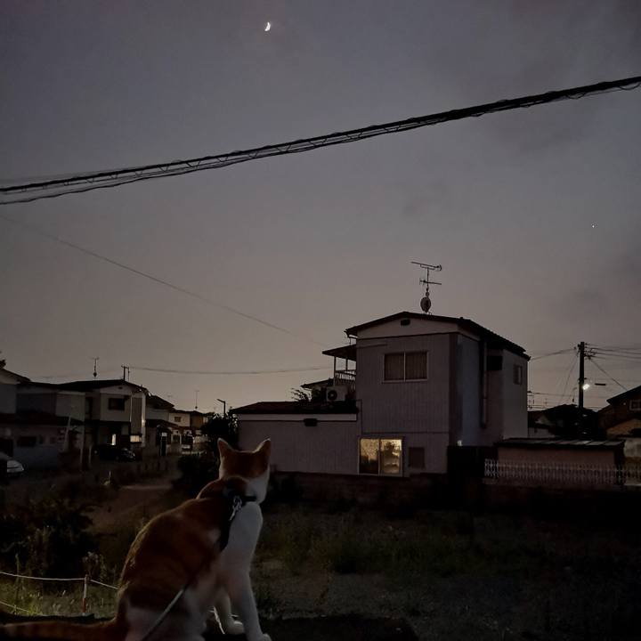 4e6c4eb6 7a53 4b3b 925a 03a041cb9324 1531932073414