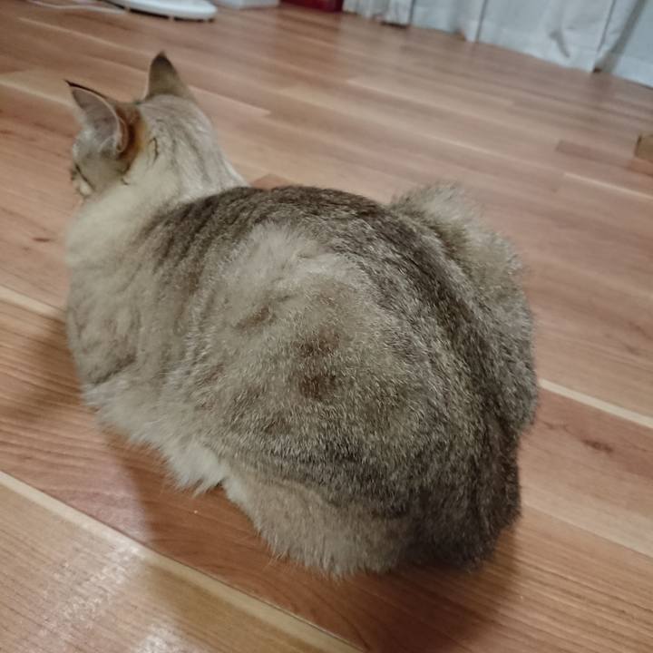 4e6c90b5 6f49 4731 8456 20adda2656b9 1531572697799