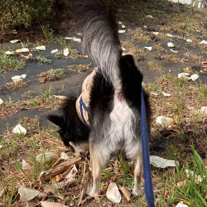 4e6ca066 b0c6 43bd bcaf d8f63e84a5ed 1678639876993