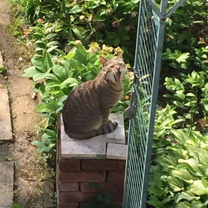 4e6cbd5a a05b 4287 9bc4 15e7d3eba625 1524954943119