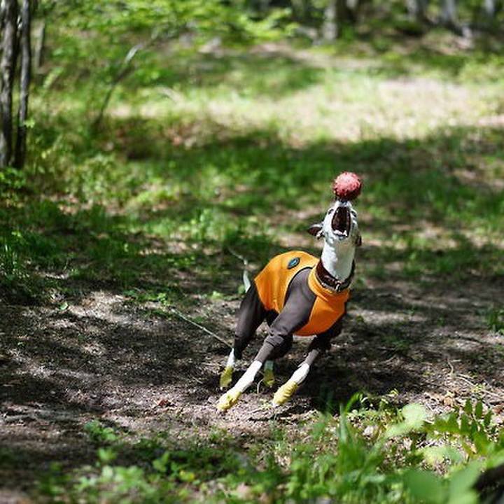 4e6d4999 e208 4694 b505 057afb29e04e 1526733438469