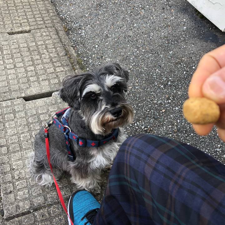 4e6d5146 60e7 4d7e a681 be60a4068617 1621030801901