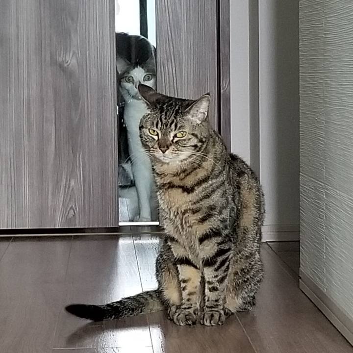 4e6d6c47 51d5 4347 b2b9 b52be2142b5e 1558306108596