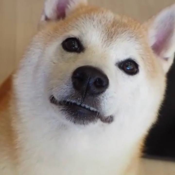 4e6d8a12 6f6f 4d11 ae11 8a866a125231 1731875805990