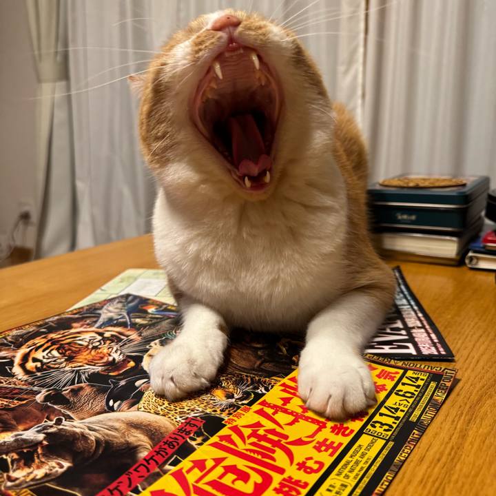 4e6d97cc 1b30 4c91 9adb 076f1fe18056 1766146587607