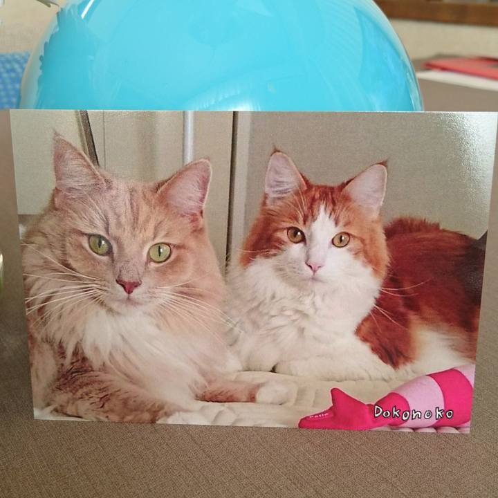 4e6dc197 79f6 4813 8ff2 2d123ca18638 1514172175154