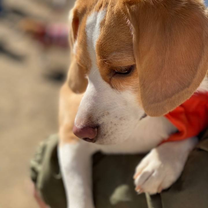 4e6dd3b5 5ef8 4599 a0f2 4921593c2d46 1607230158407