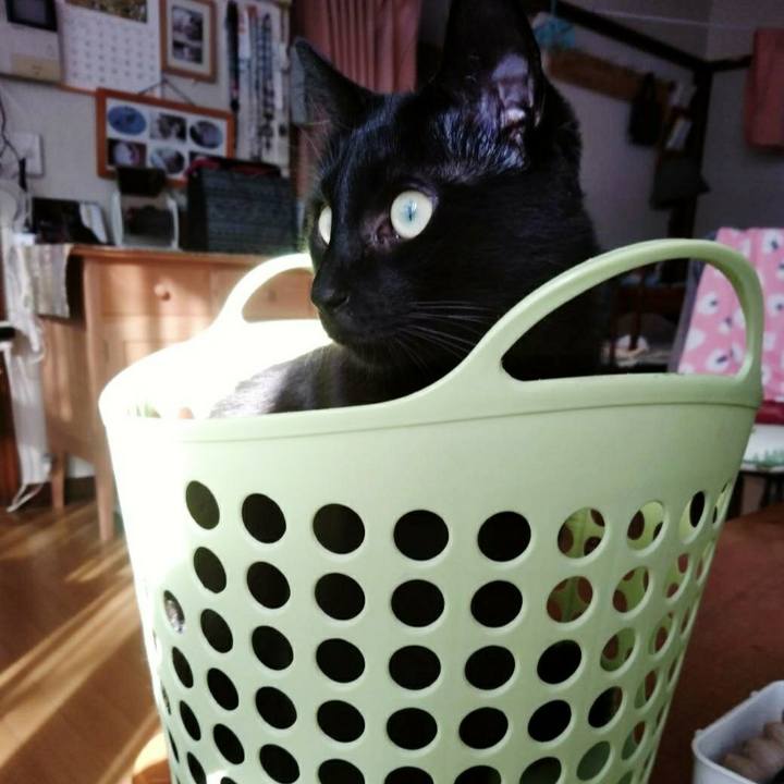 4e6dedaa 7c4e 4cb7 9060 585236f12dd9 1555496853818