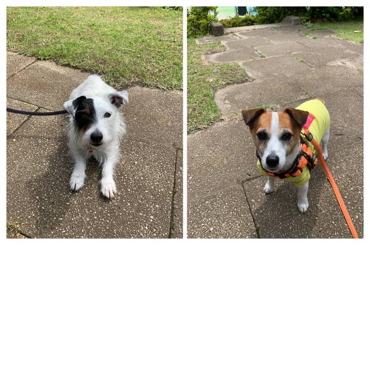 4e6e0c7a 2ebd 4ac2 a53d 6585b2462db4 1622594182027