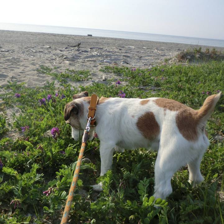 4e6e2a7c 121d 4eea 9cb8 d4f9b59f83c7 1557132113905