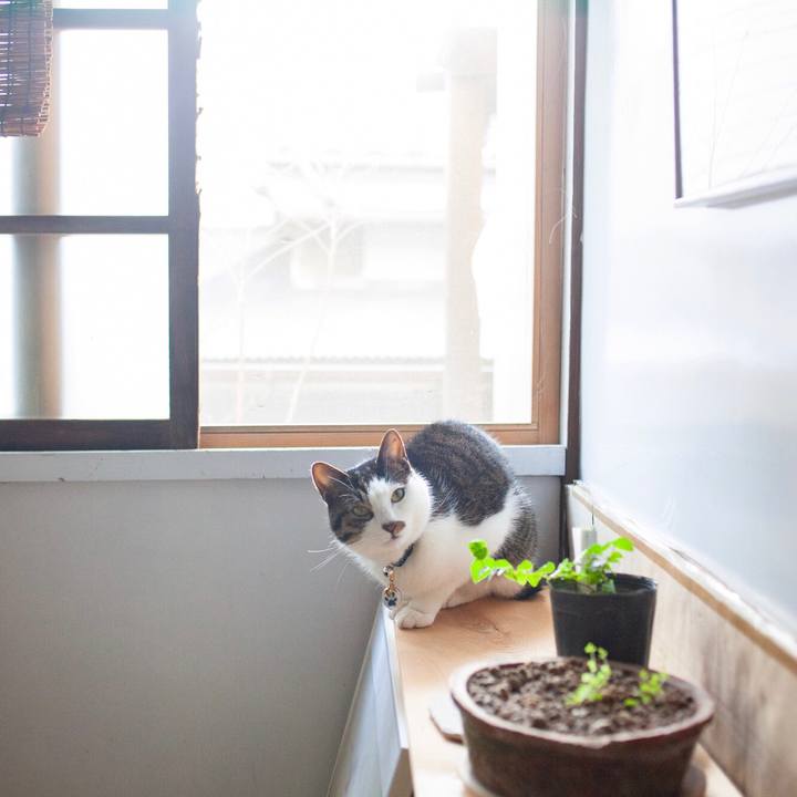 4e6e2ec2 5b9e 4659 9f21 a43c0471f455 1581471148120