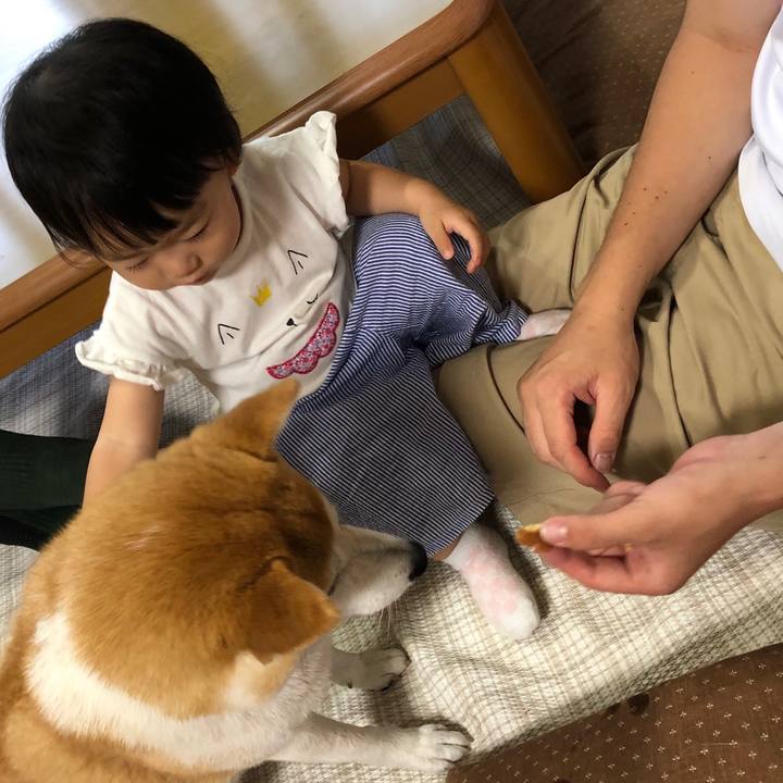 4e6ea4ca d977 4355 8854 3c16f6e791db 1561249492350