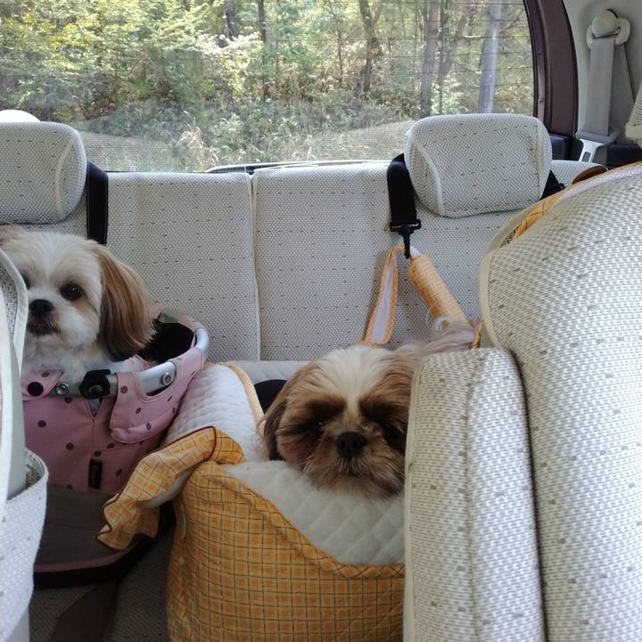 4e6f3796 3ed7 4f99 a316 7cba9bda4421 1650420456697