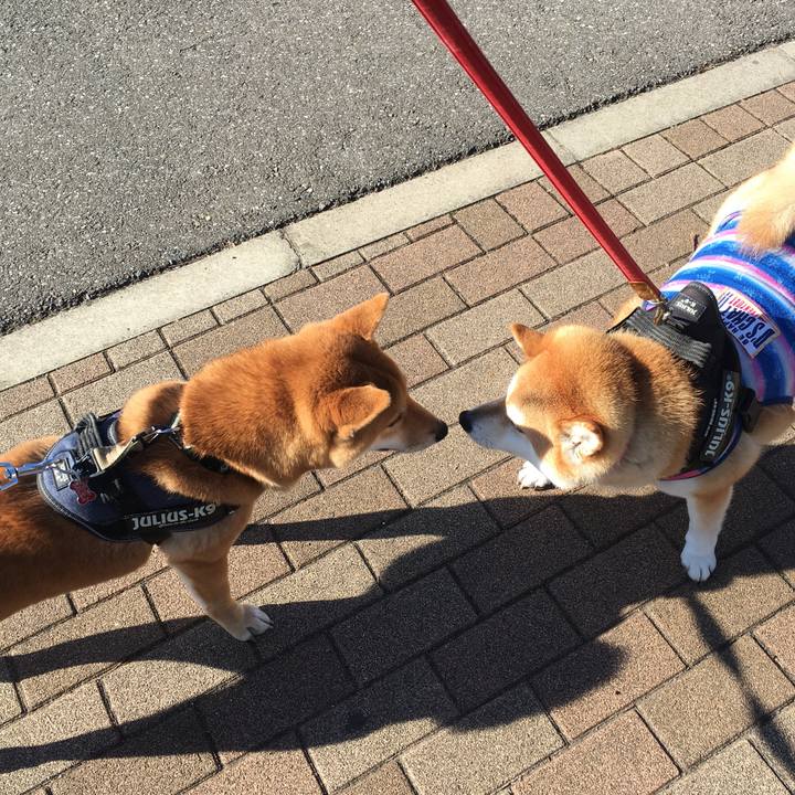 4e6f5401 6a57 4056 b587 57afc7e32798 1612057320860