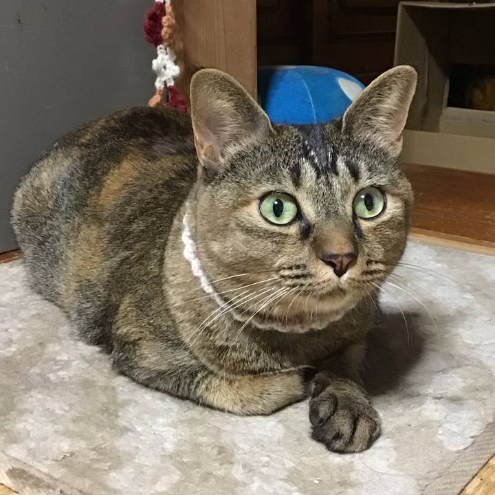 4e6f7b90 a0b7 4b69 bb0e f113422d0db1 1665129650293