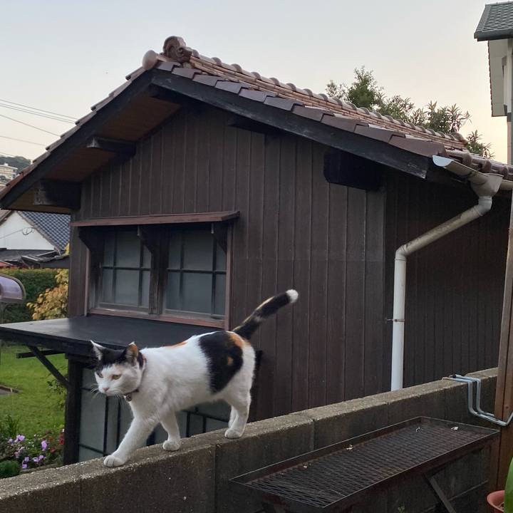 4e6fa5b3 34a7 4f8b a2c6 1b98fbafc58b 1635770226507