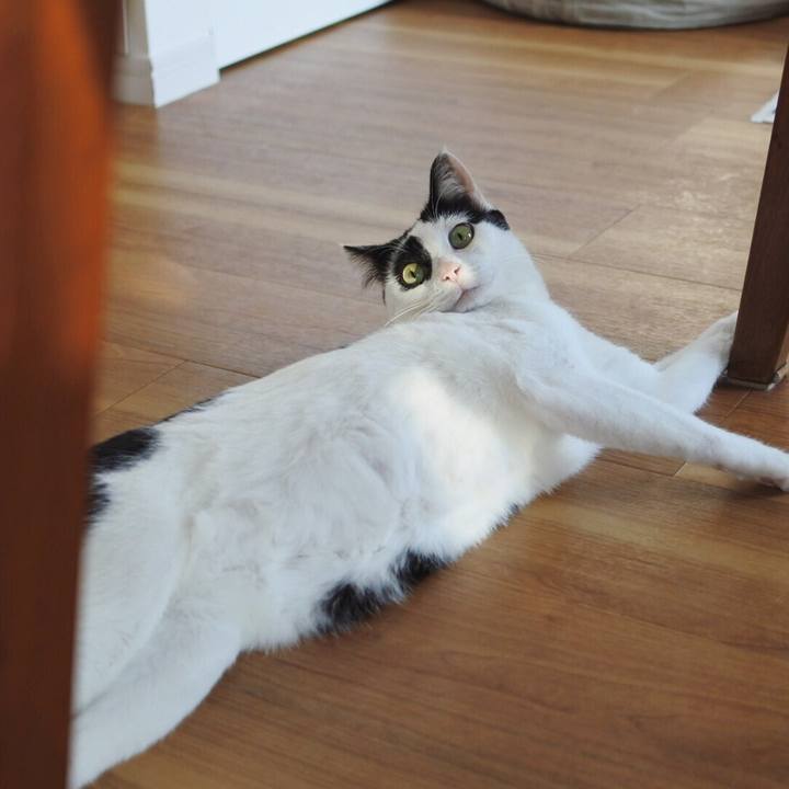 4e6faf16 6955 42dd 8224 a2ad871a01dc 1522664245548